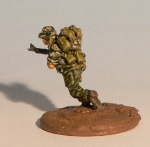 lrrp2.jpg