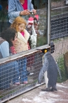 edinburghzoo-4