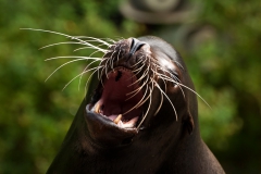 Noorder Dierenpark Emmen