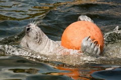 Naturzoo Rheine